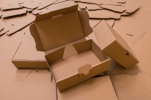 Secure Your Rounds with Cardboard Ammo Box Solutions